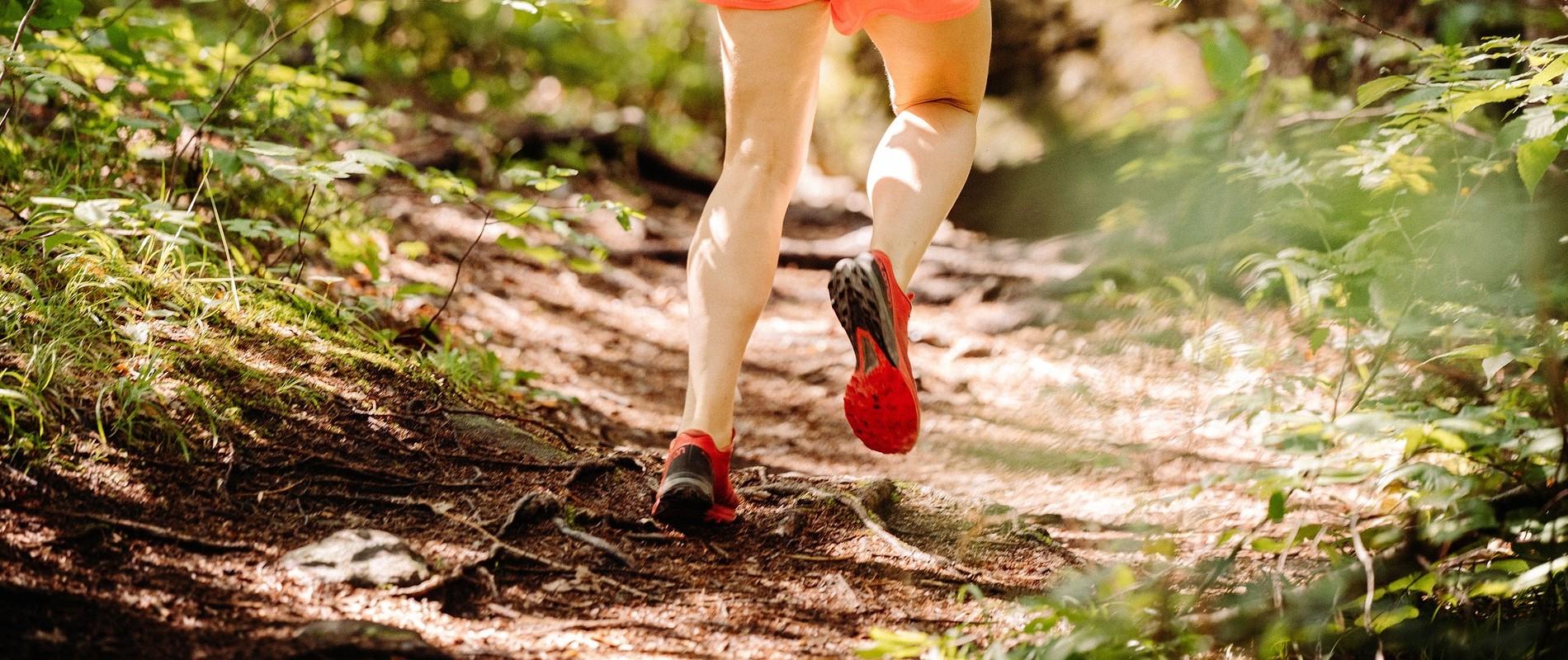 Coureurs en chaussures de trail sur un sentier de montagne